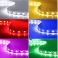 CE Approved SMD5050 10mm 24V 15.8W LED Light Strip